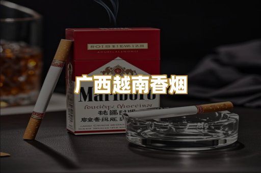 广西越南香烟